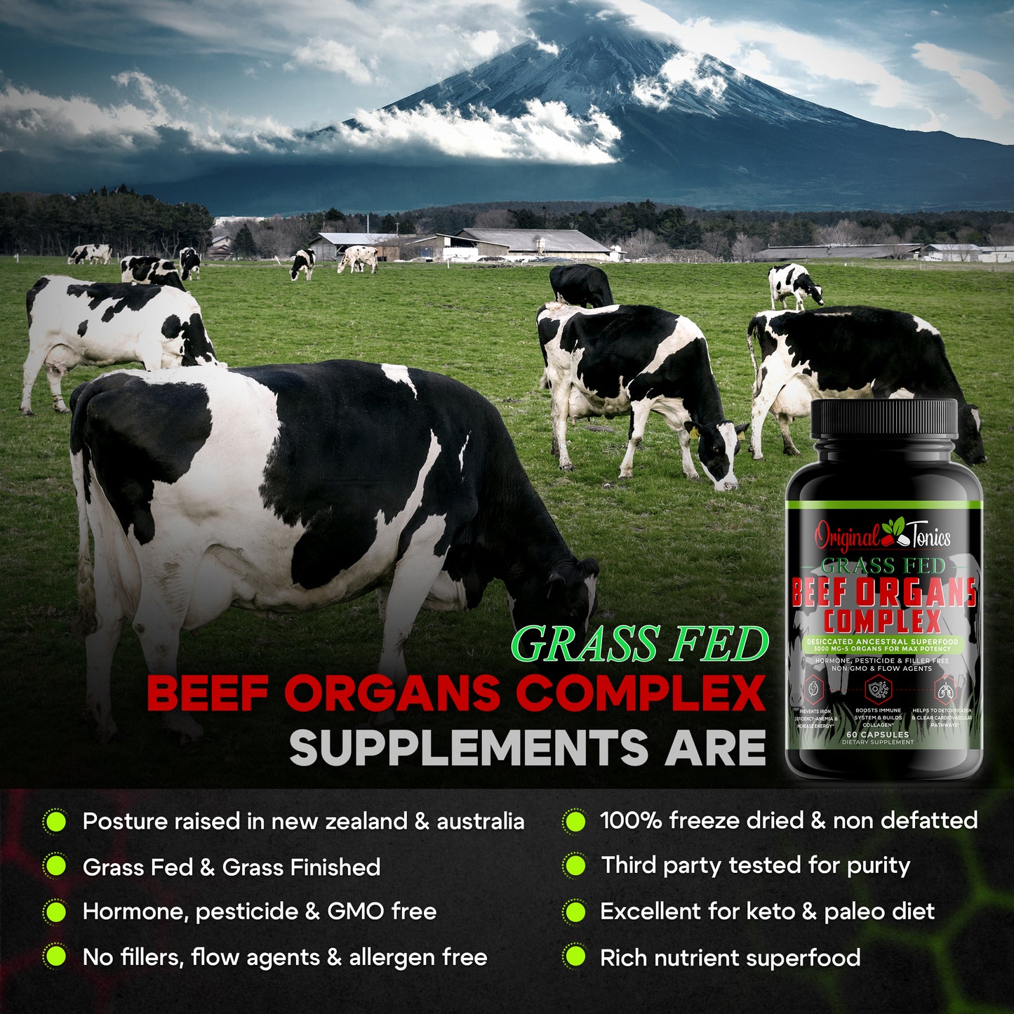 BEEF ORGANS COMPLEX - Ancestral Super Food